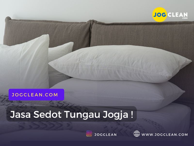 jasa sedot tungau jogja terbaik nomor 1