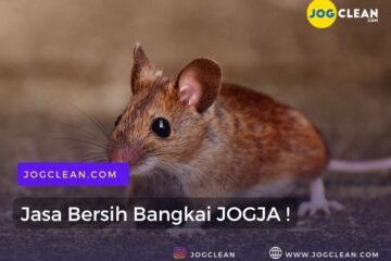jasa bersih pemburu bangkai jogja murah by jogclean
